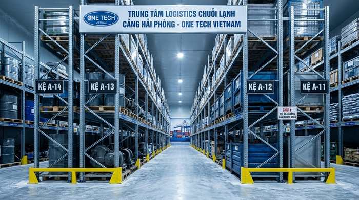 Thiết kế tải trọng kệ kho lạnh Hải Phòng Thiết kế tải trọng kệ kho lạnh Hải Phòng cho pallet hàng nặng